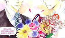 已完结的漫画,揭秘XXX漫画的精彩篇章